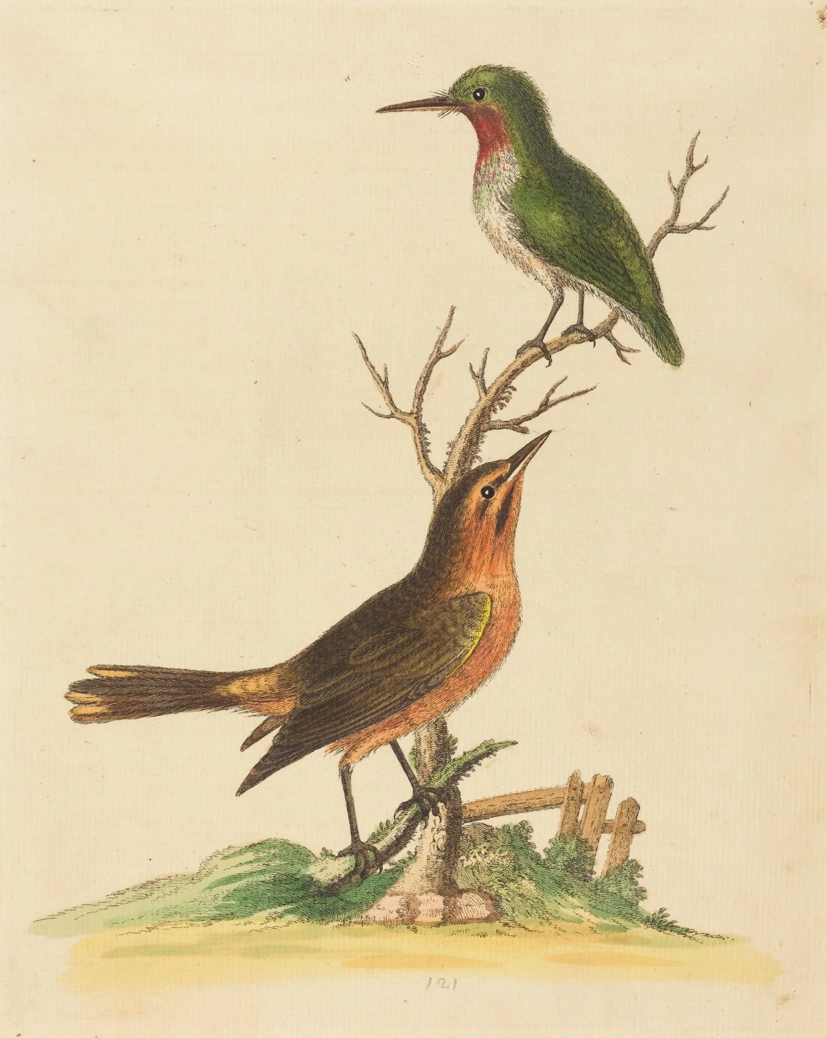 Green Bird with Red Throat and Brown and Orange Bird, detail