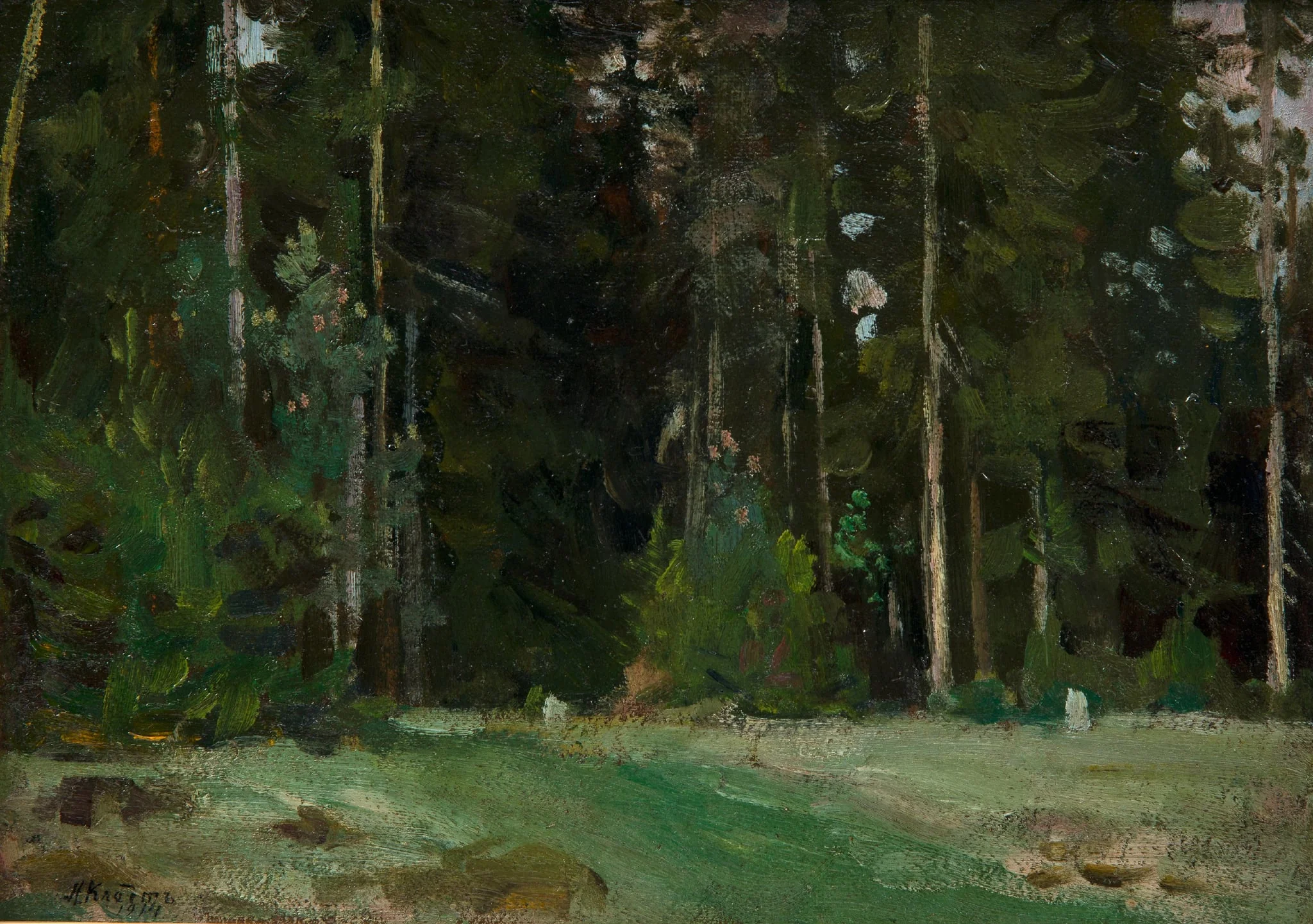 Metsä, detail