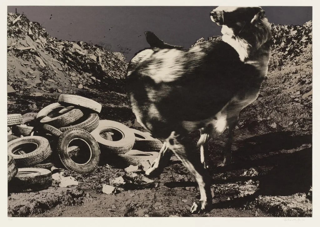 Untitled, detail