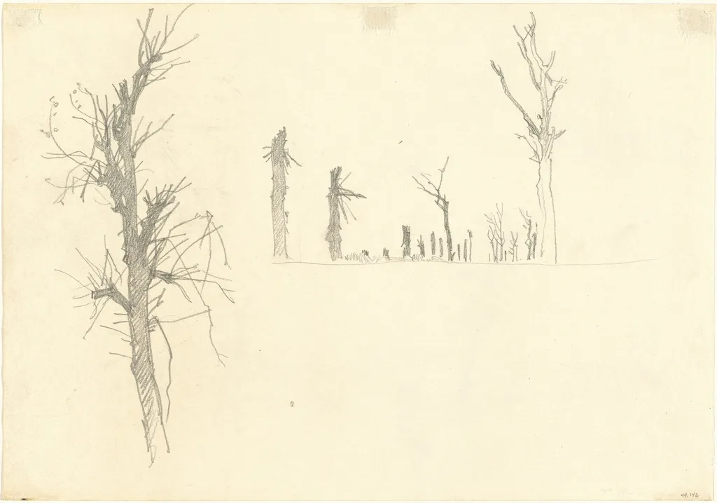 Devastated Trees [verso], by John Singer Sargent, graphite, 1918
