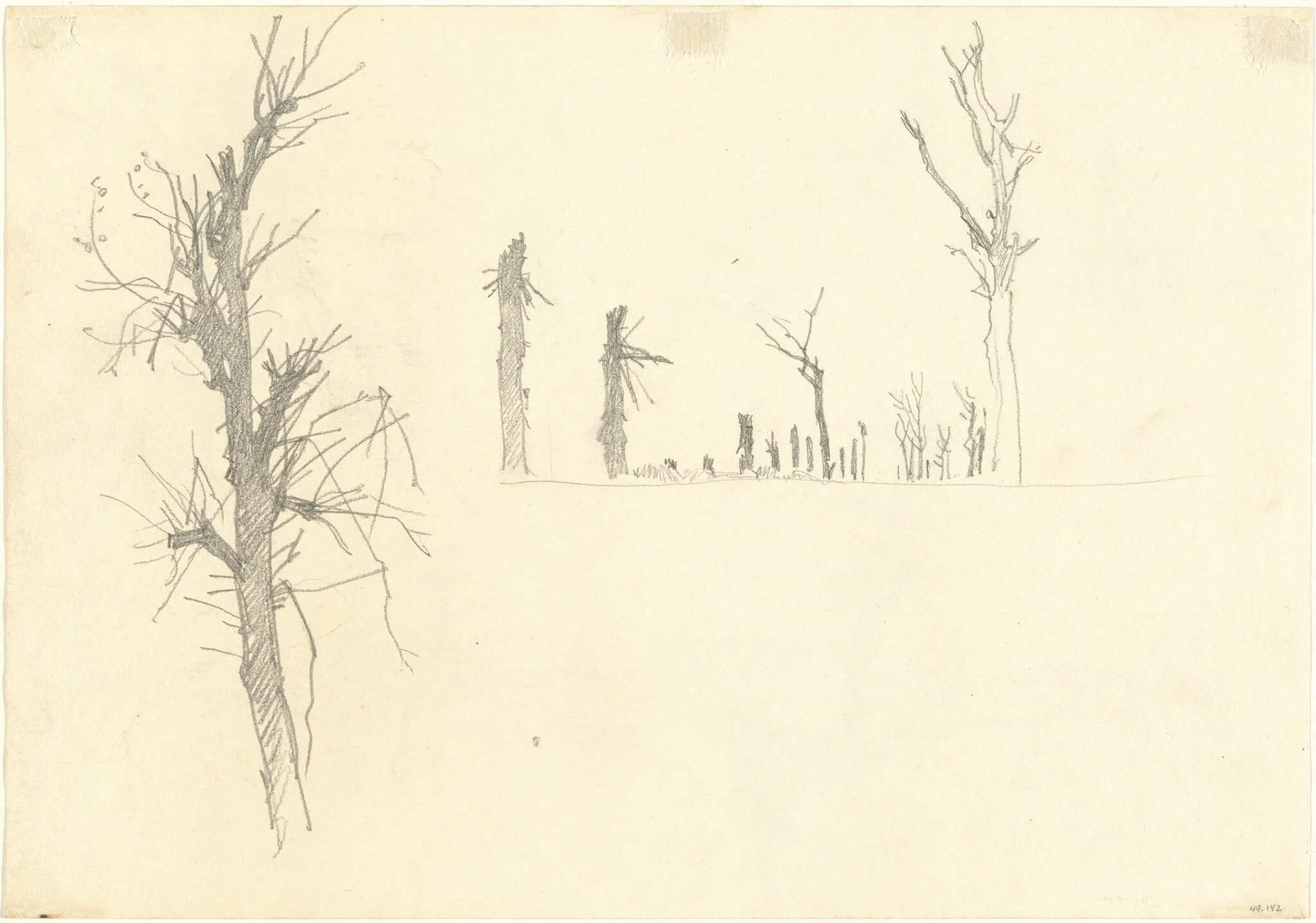 Devastated Trees [verso], detail