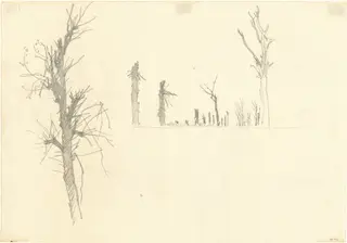 Devastated Trees [verso], by John Singer Sargent, graphite, 1918