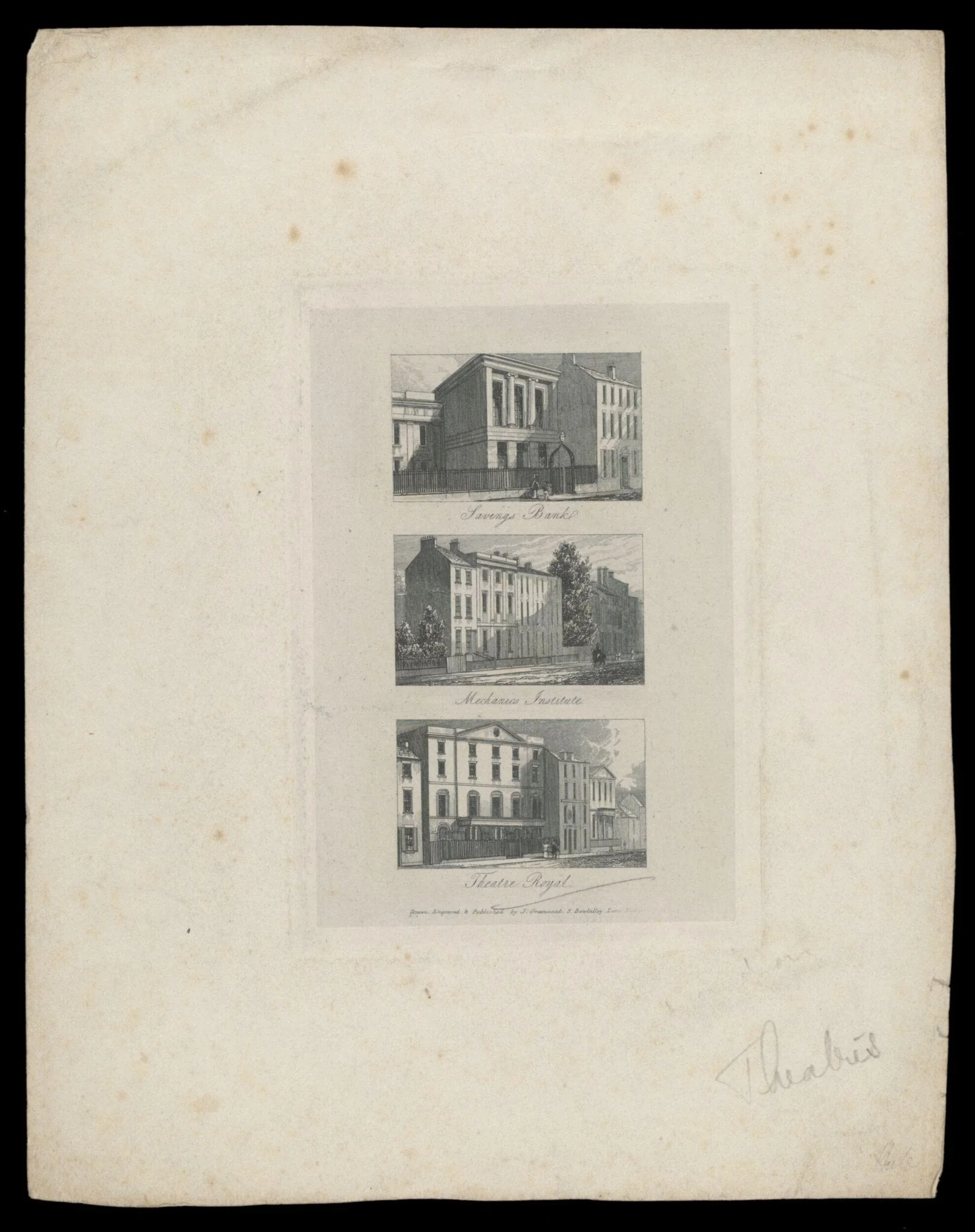 H Beard Print Collection, detail