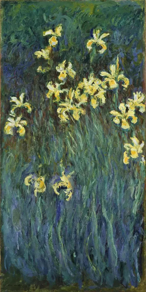 Yellow Irises, by Claude Monet, oil, 1914