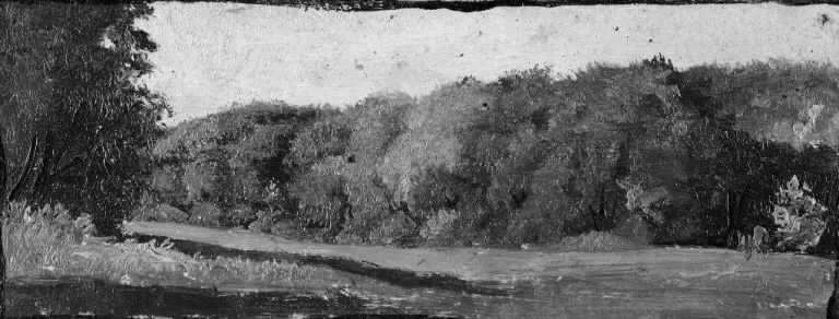 The Fringe of a Wood, detail