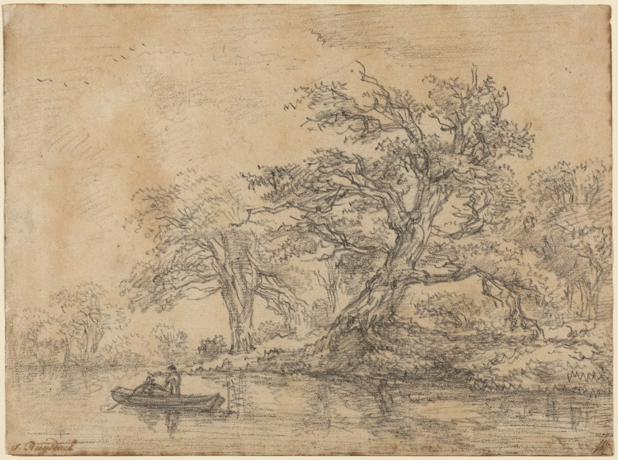 Old Trees along a Bank, detail