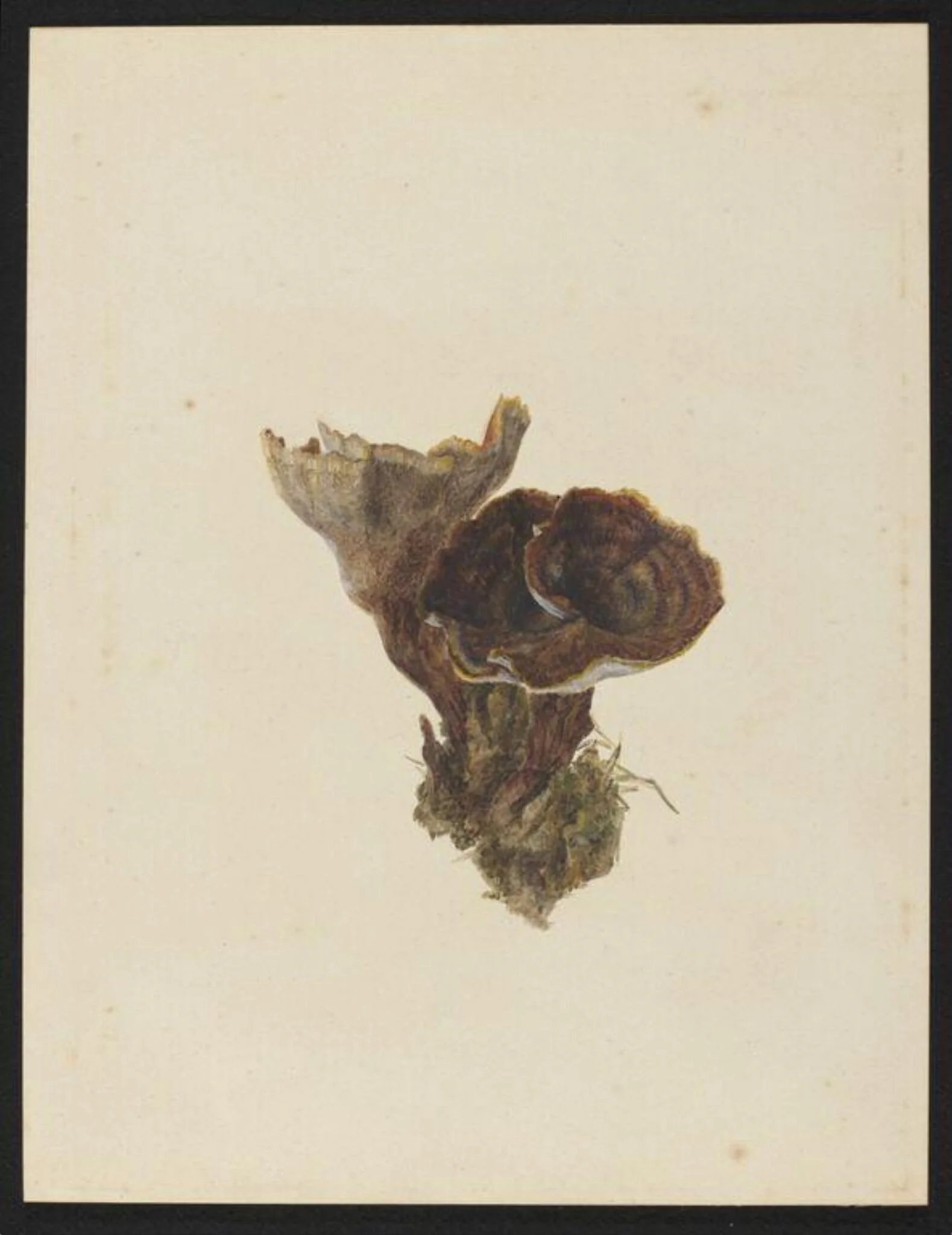 Untitled, detail