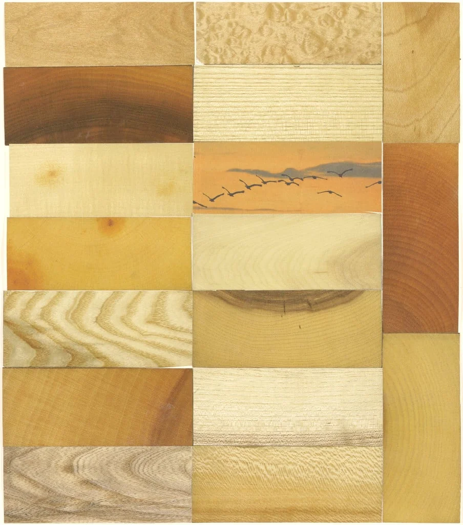 Untitled, detail