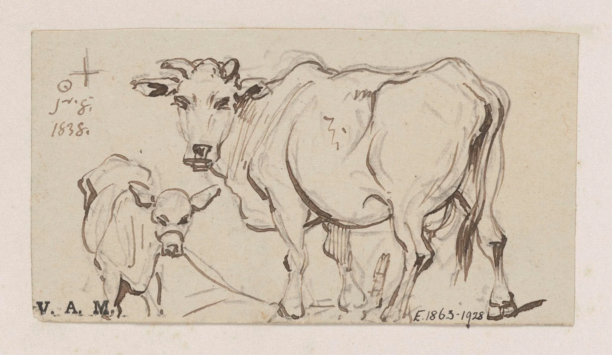 A cow and calf, detail