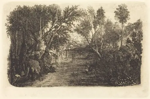 The Water's Course, by Rodolphe Bresdin, ink
