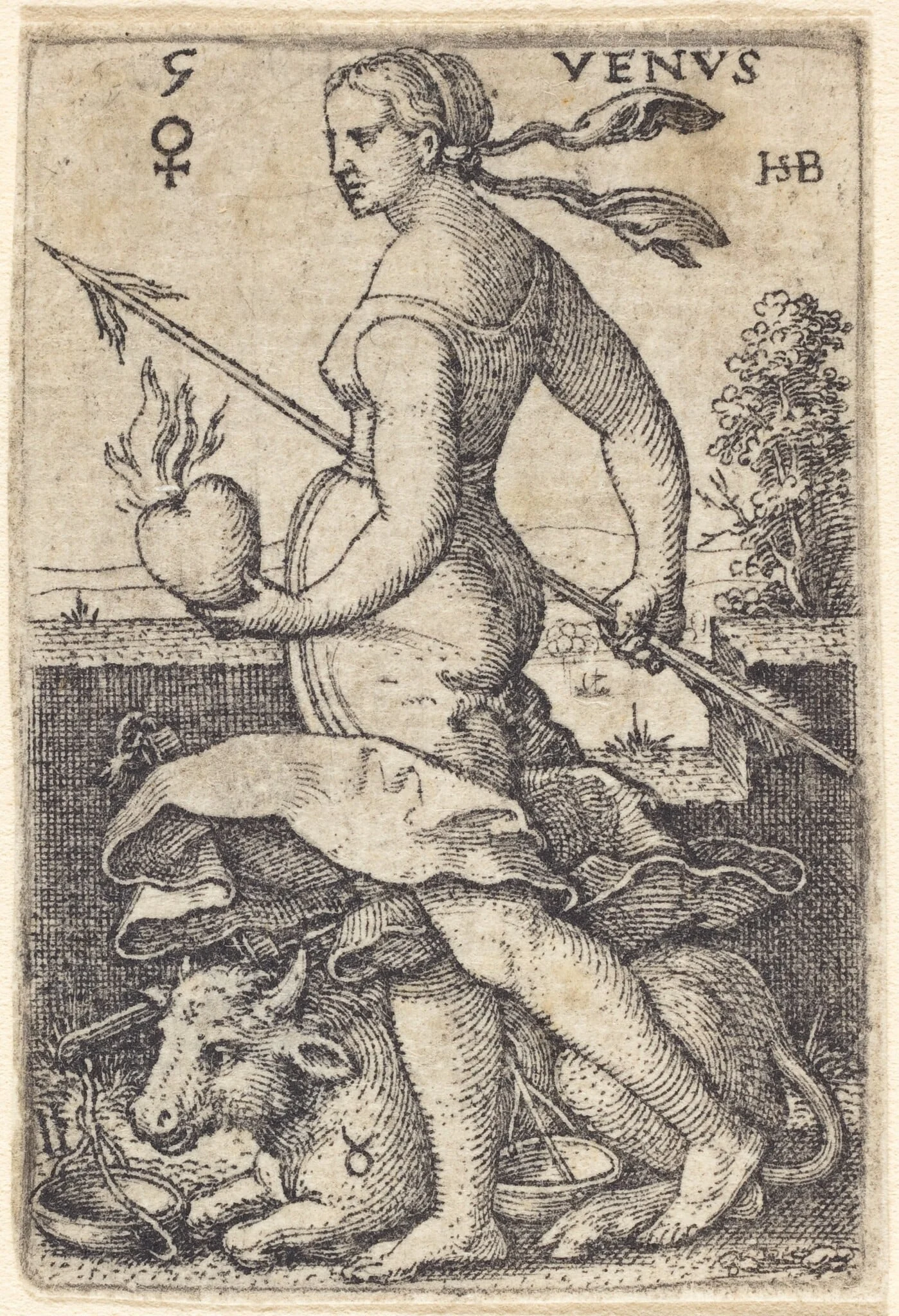 Venus, detail