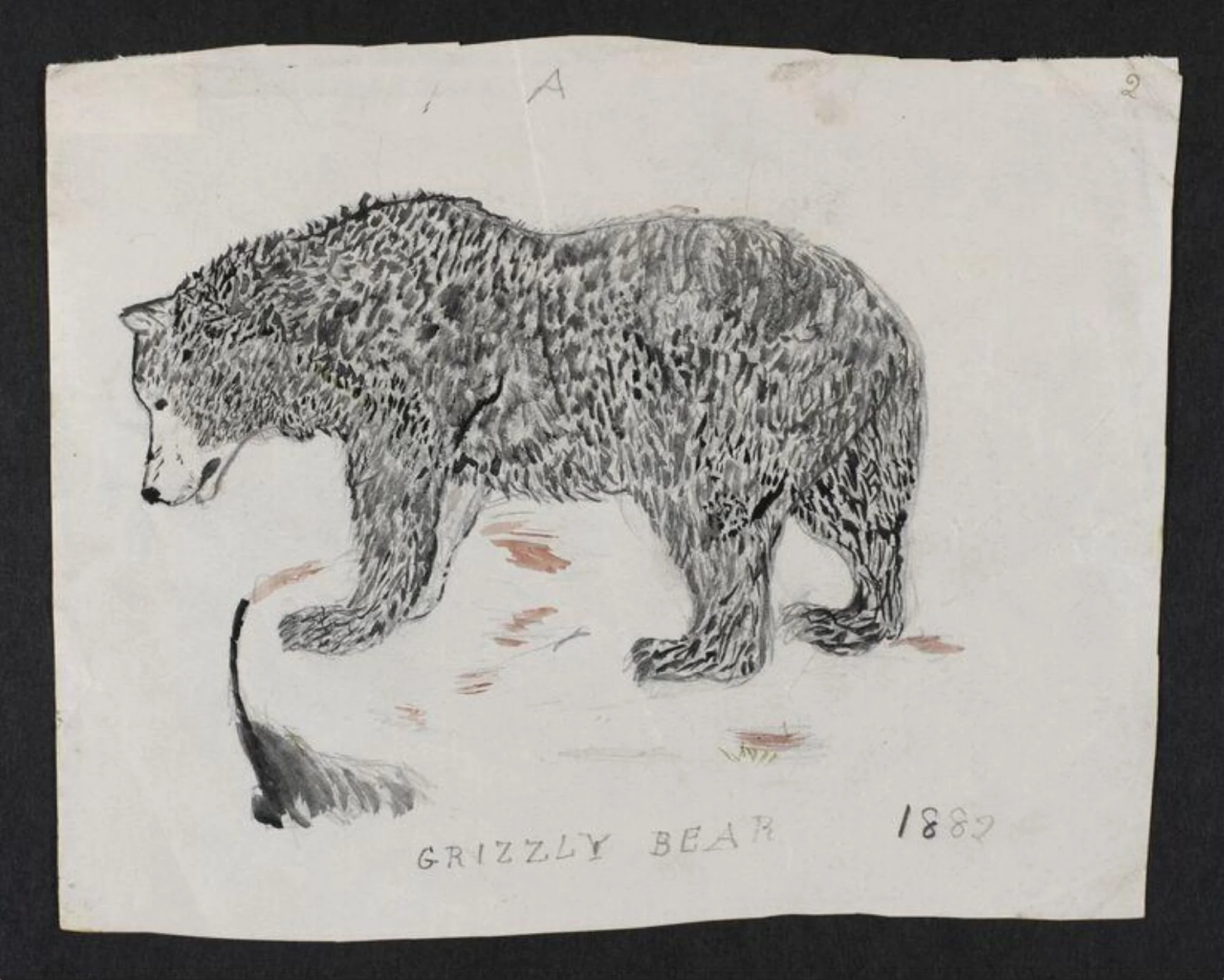 Untitled, detail