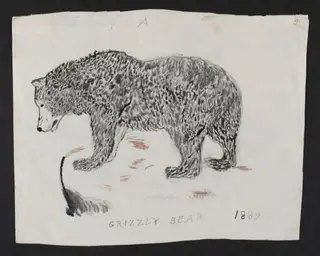 Untitled, by Bertram Potter, watercolor, 1882