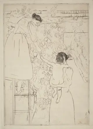 Gathering Fruit, by Mary Cassatt, ink, 1893