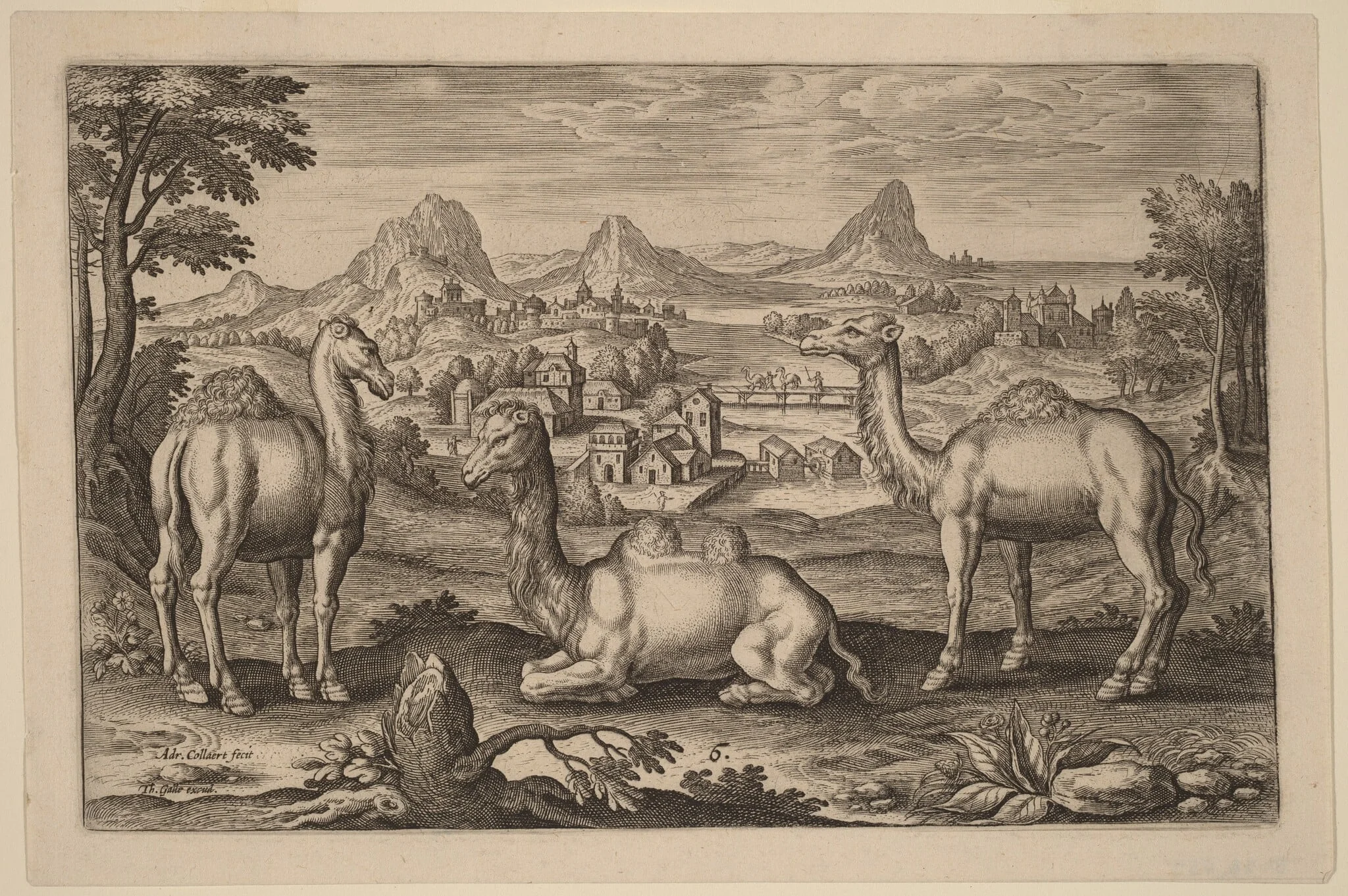 Two Dromedaries and a Camel, detail