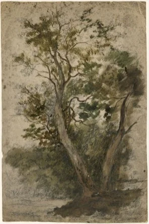 A Tree, detail