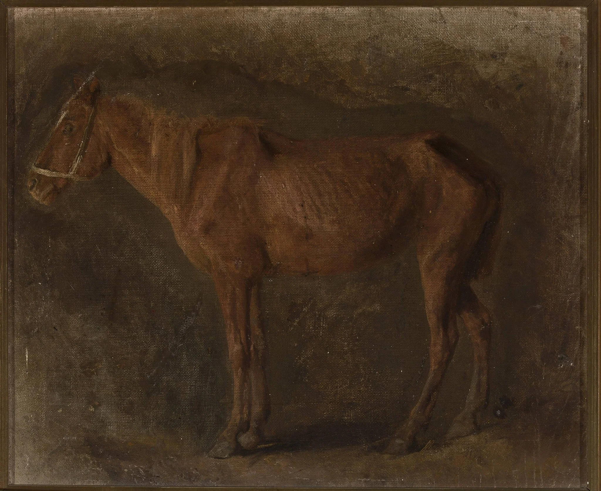 Study of a horse, detail