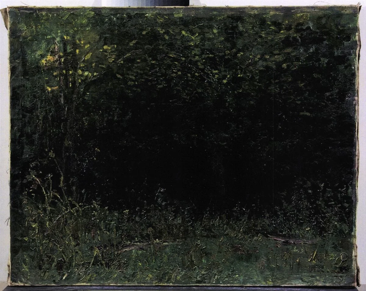 Interior de pădure, detail