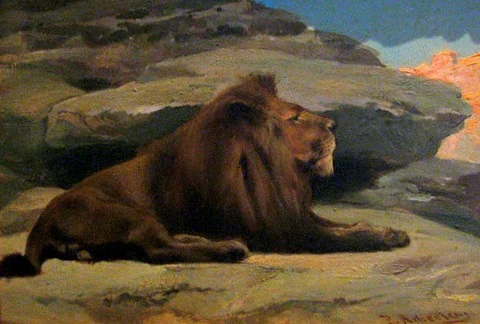 Lion, detail
