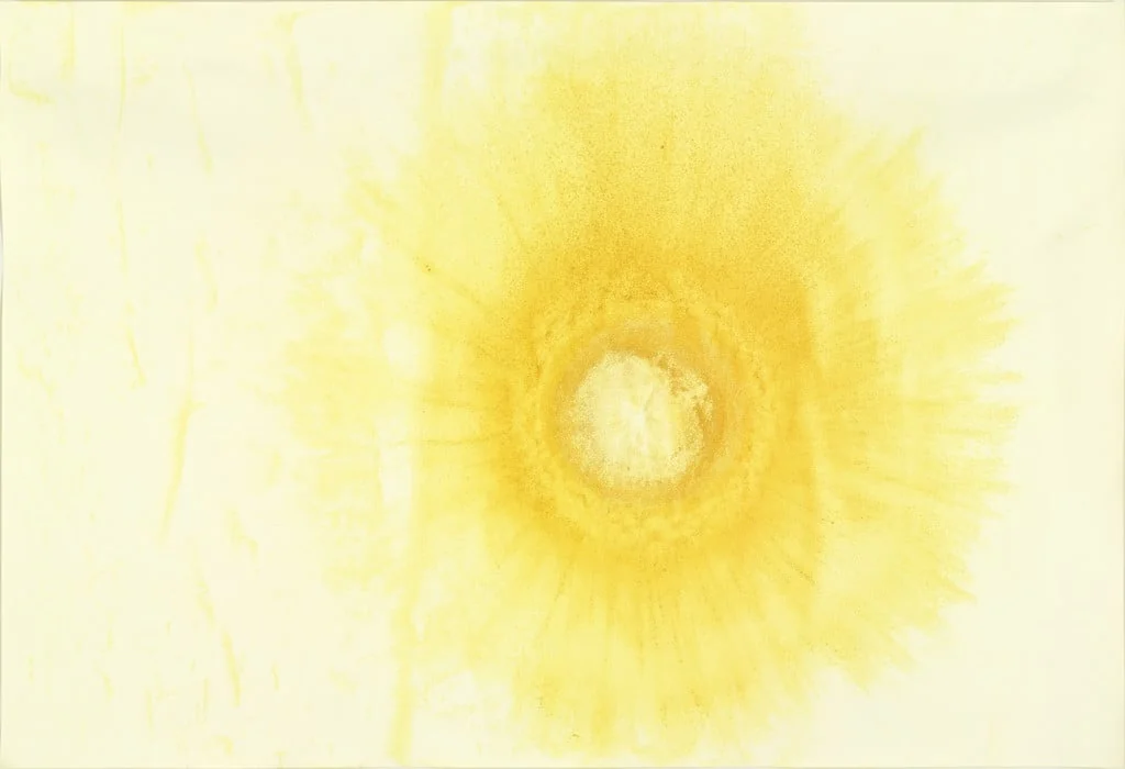 Untitled, detail