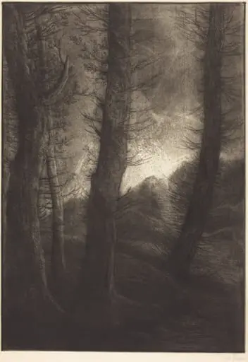 Large Trees Seen against the Sun  (Les grandes arbres: Effet du soir), by Alphonse Legros, ink, 1874
