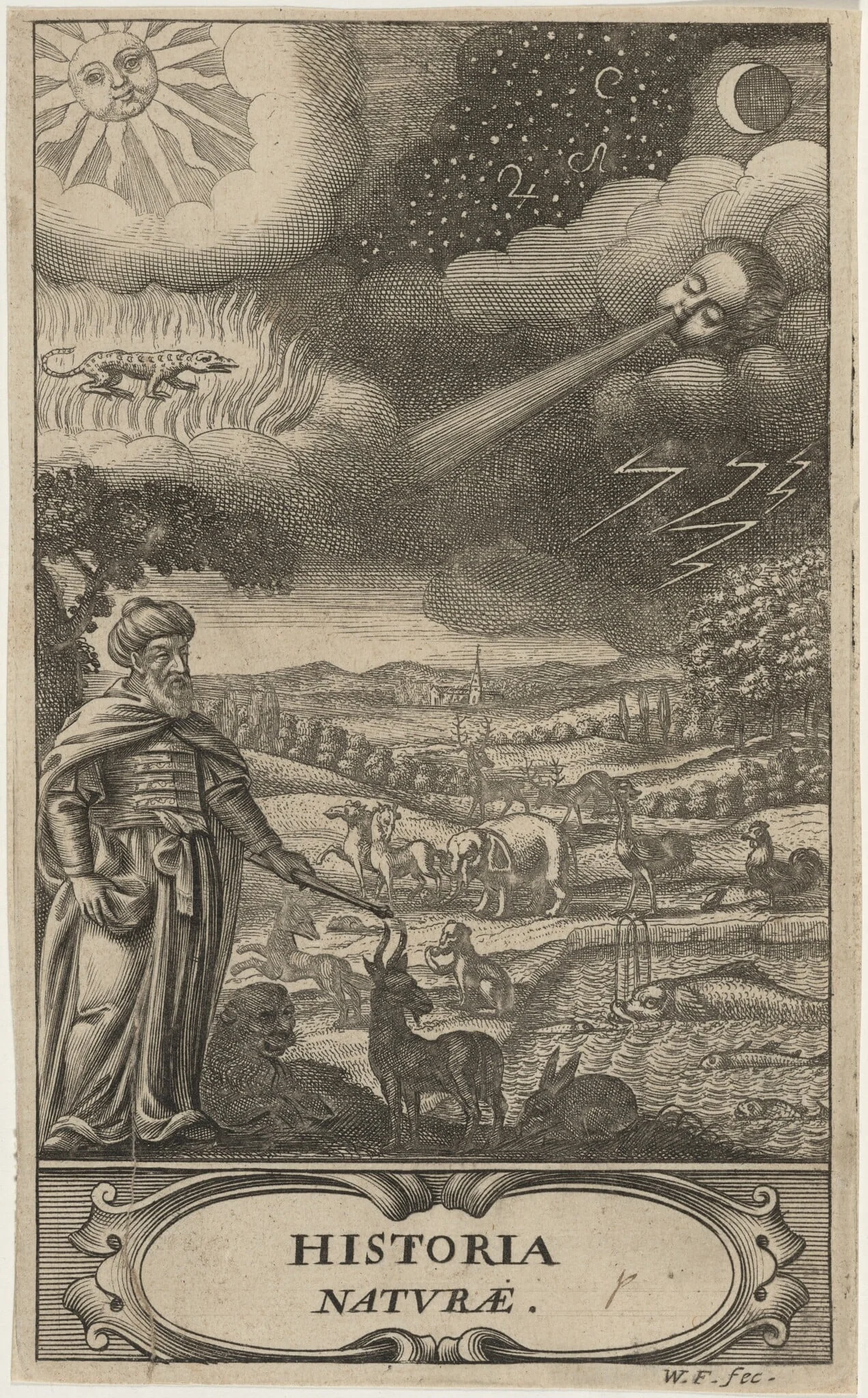 The Creation of Animals, detail