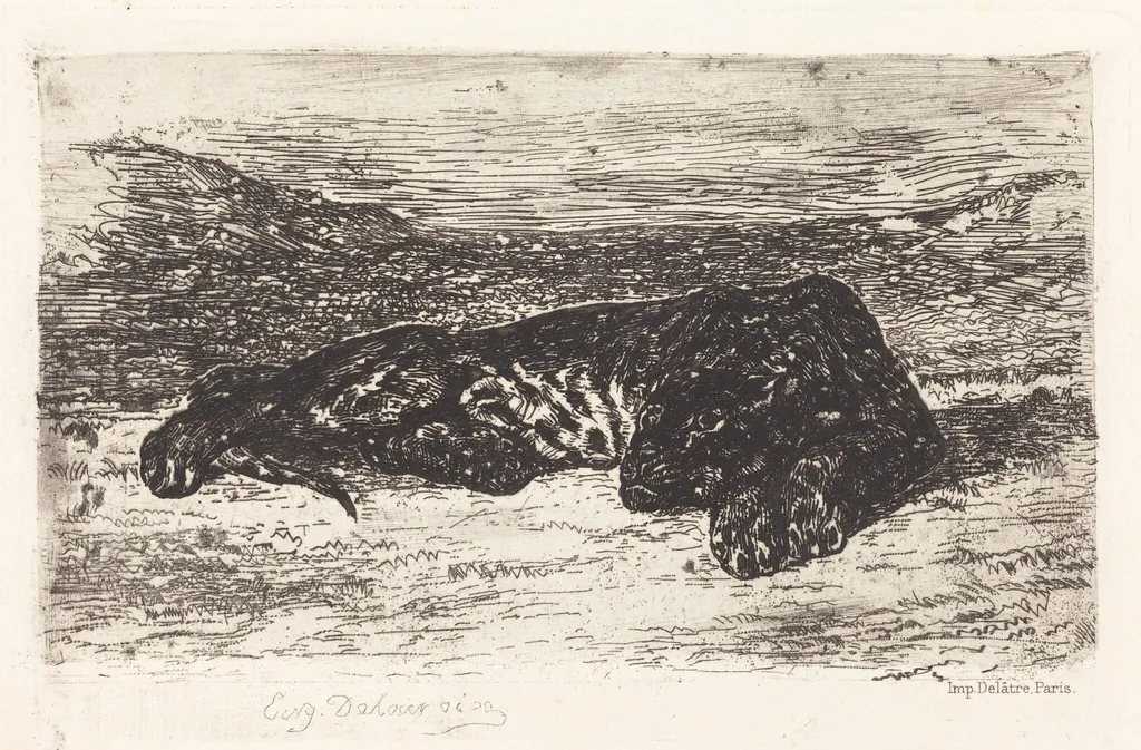 Tiger Sleeping in the Desert, by Eugène Delacroix, ink, 1846