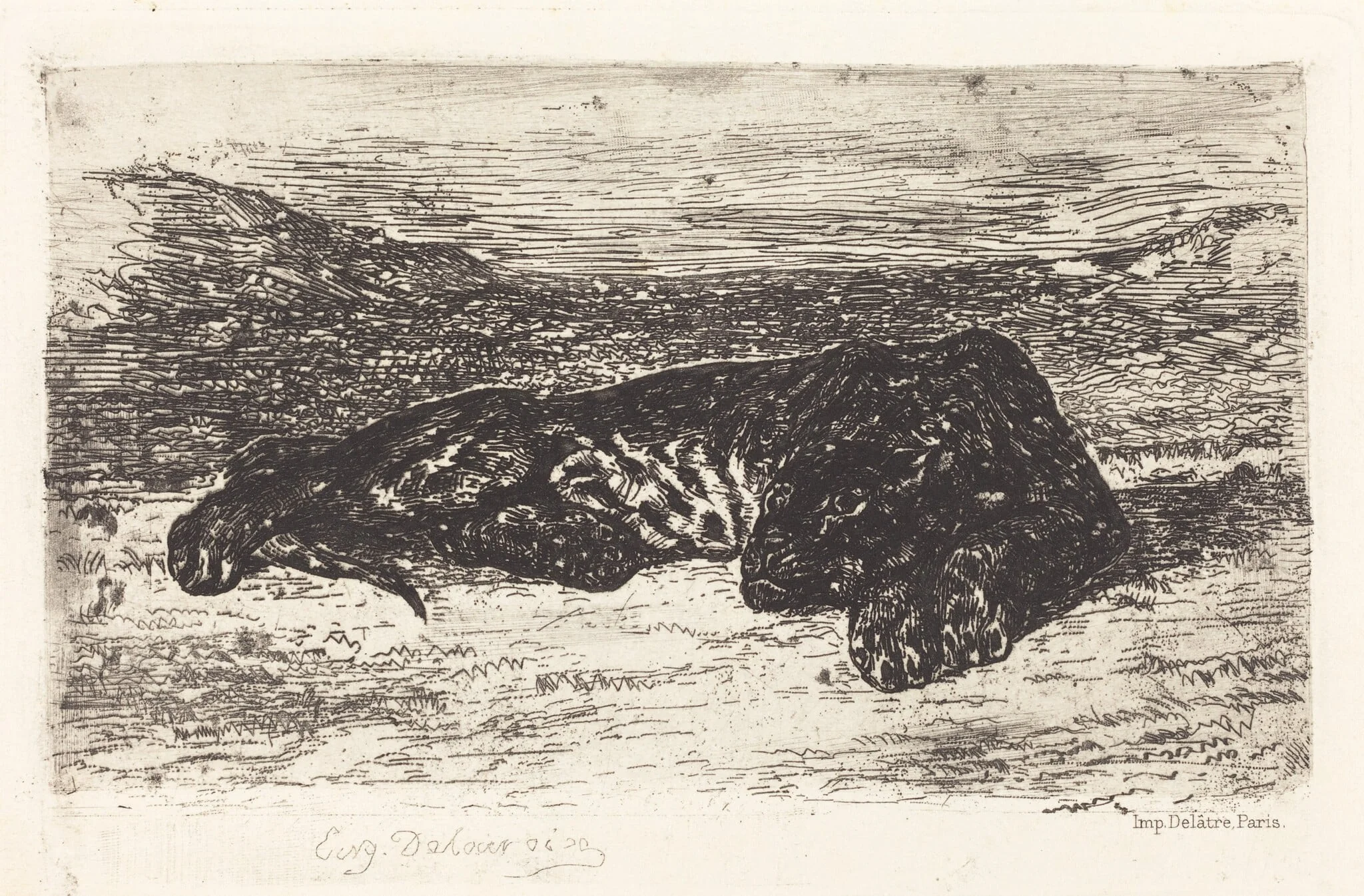 Tiger Sleeping in the Desert, detail