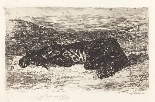 Tiger Sleeping in the Desert, by Eugène Delacroix, ink, 1846
