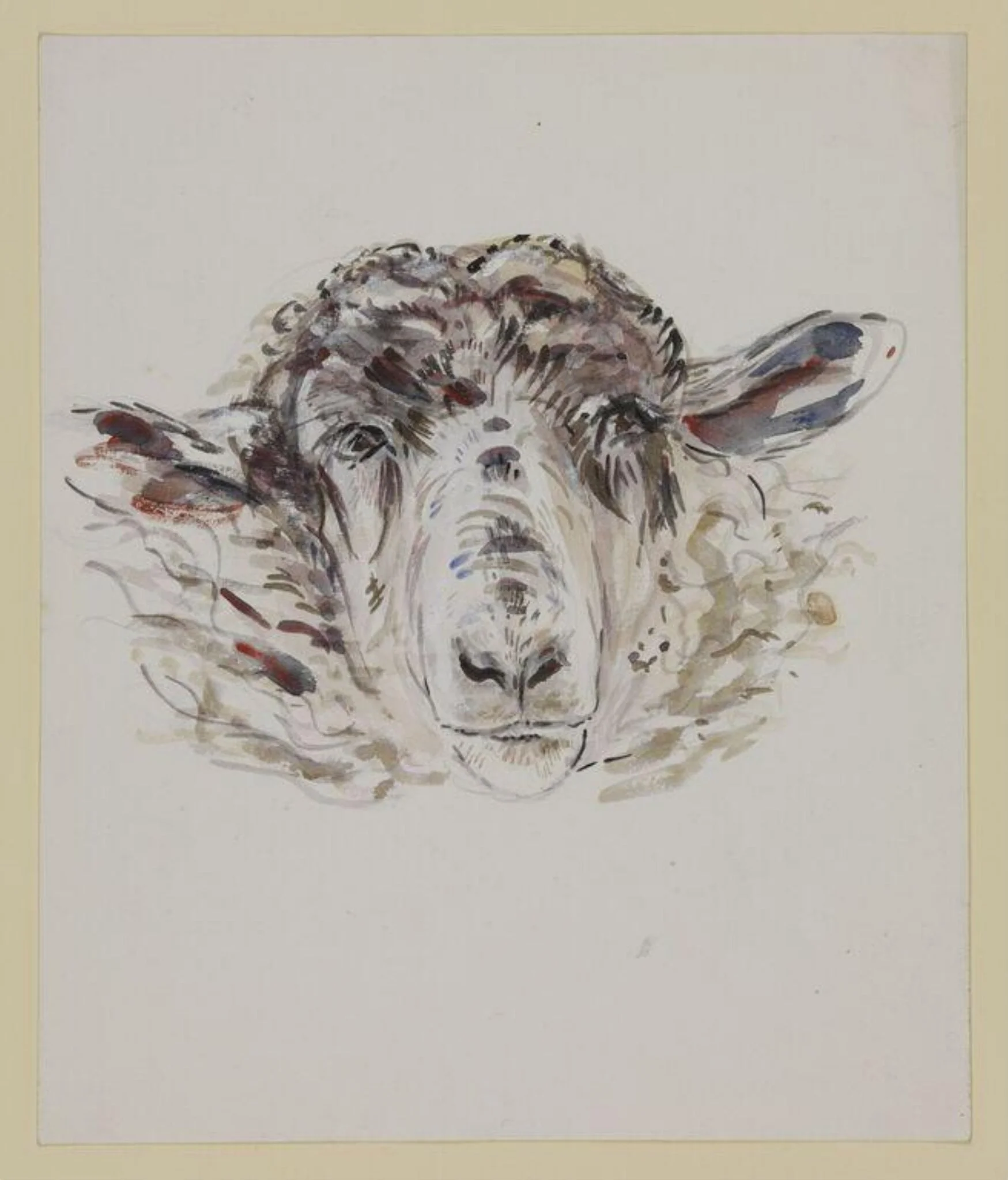 Study of a sheep's head, detail