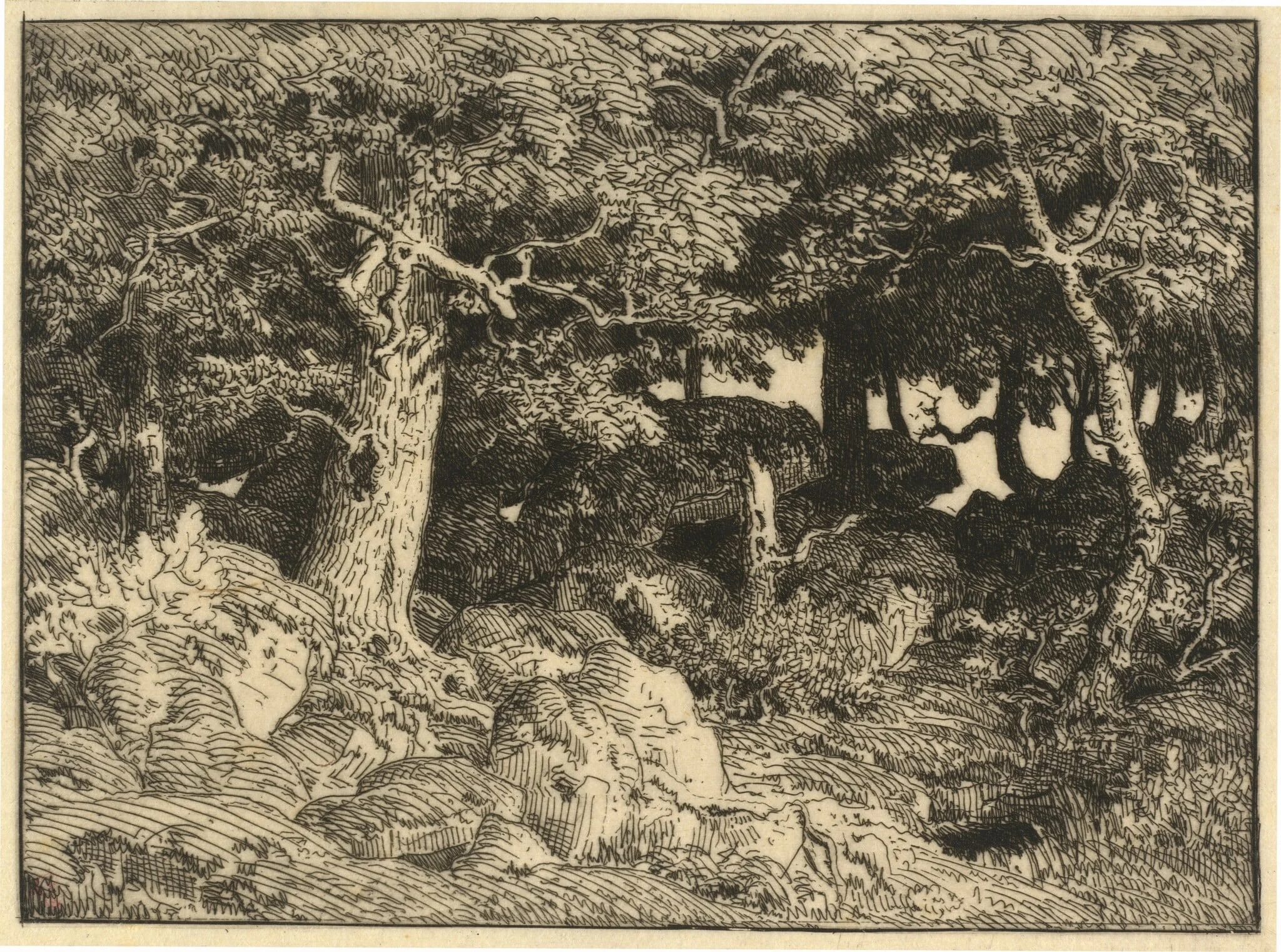 Chenes de Roche (Rock Oaks), detail