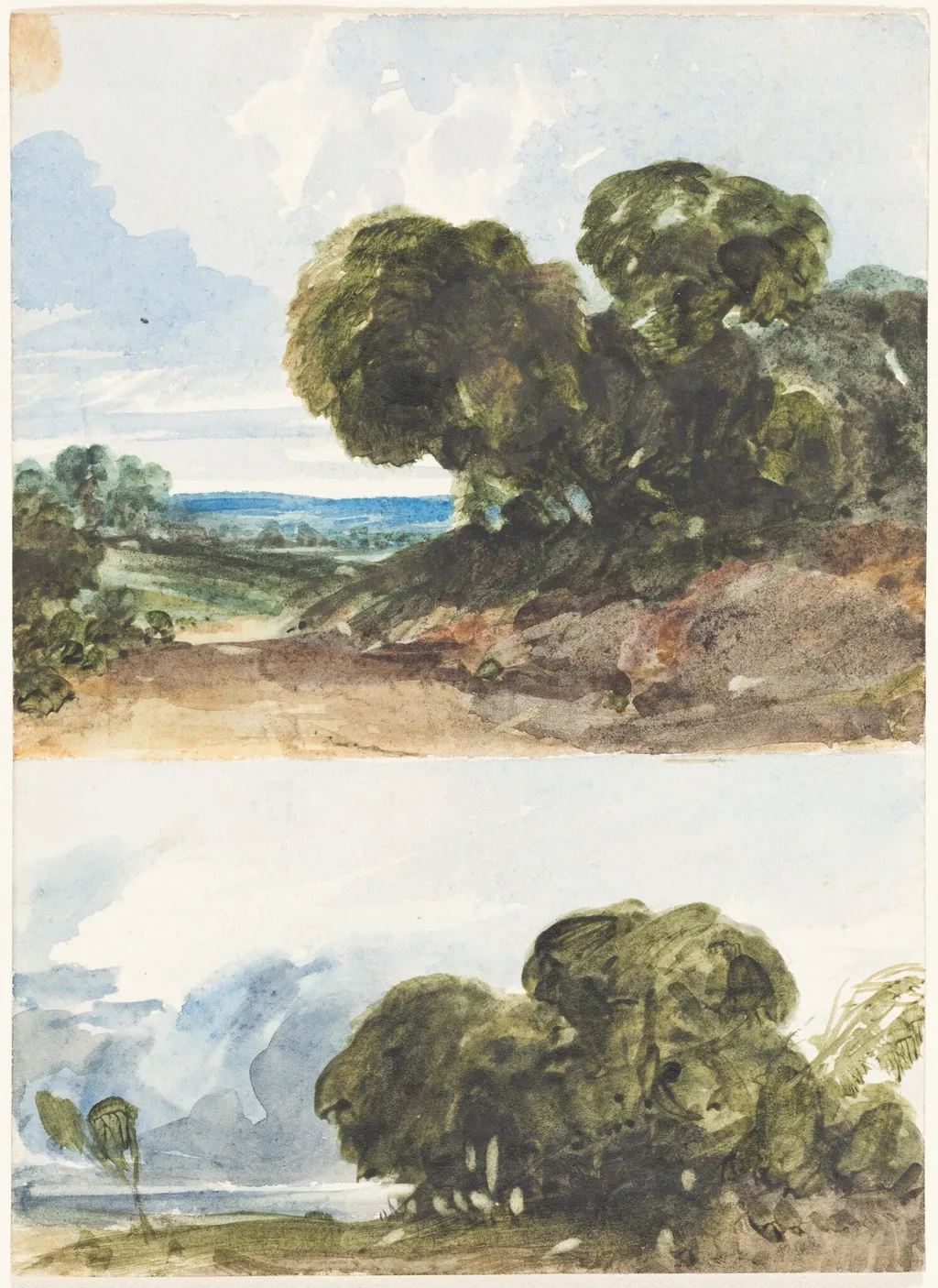 Two Sketches of Trees, by James Bulwer, watercolor, 1834