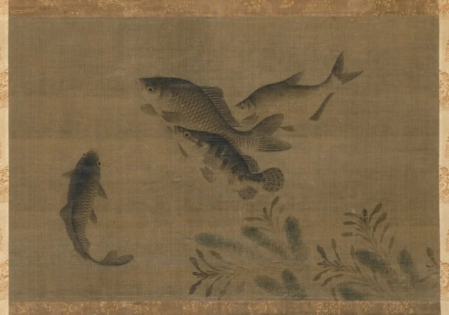 Fish, detail