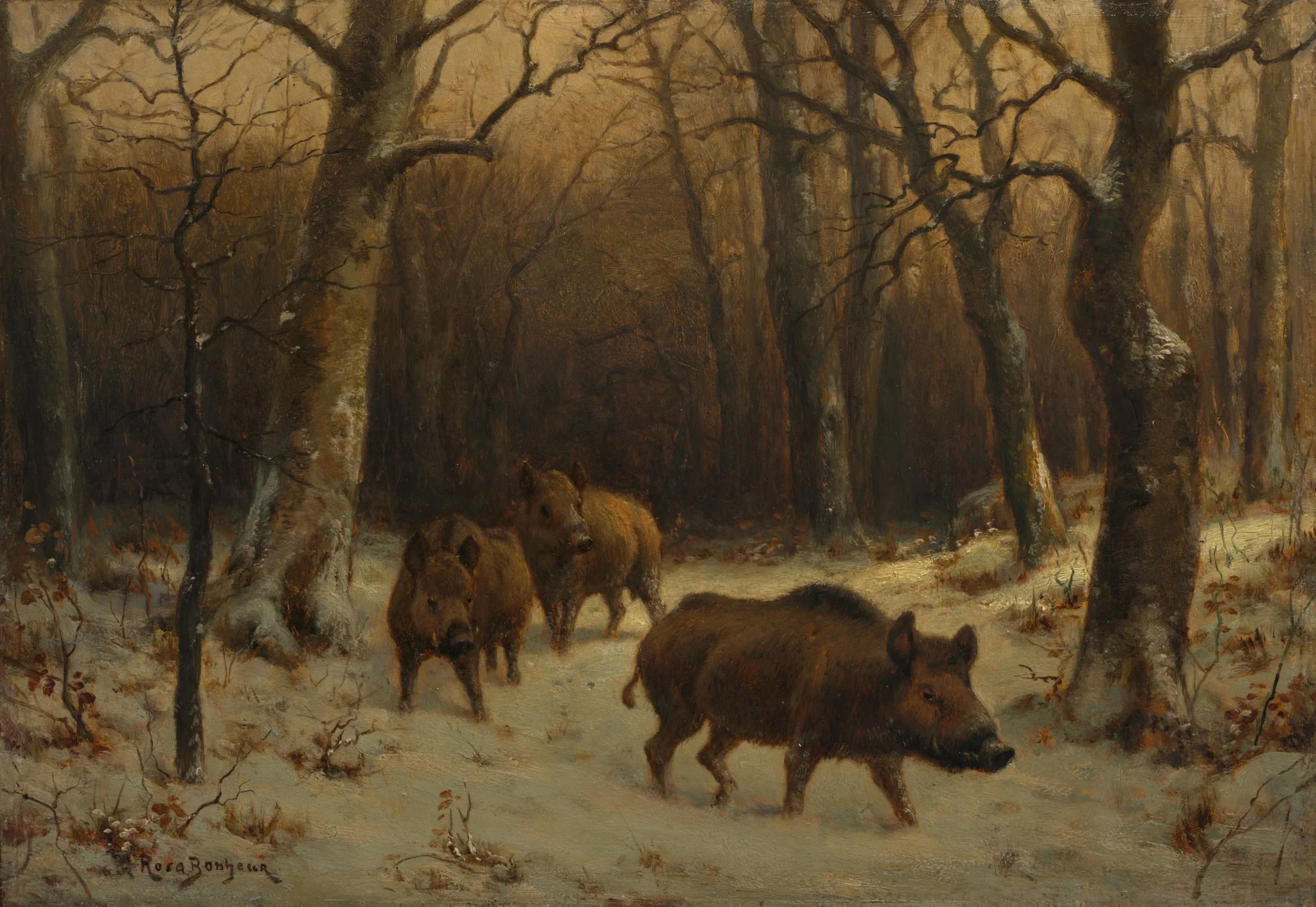Wild Boars in the Snow, detail