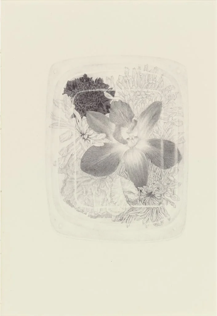 Untitled, detail