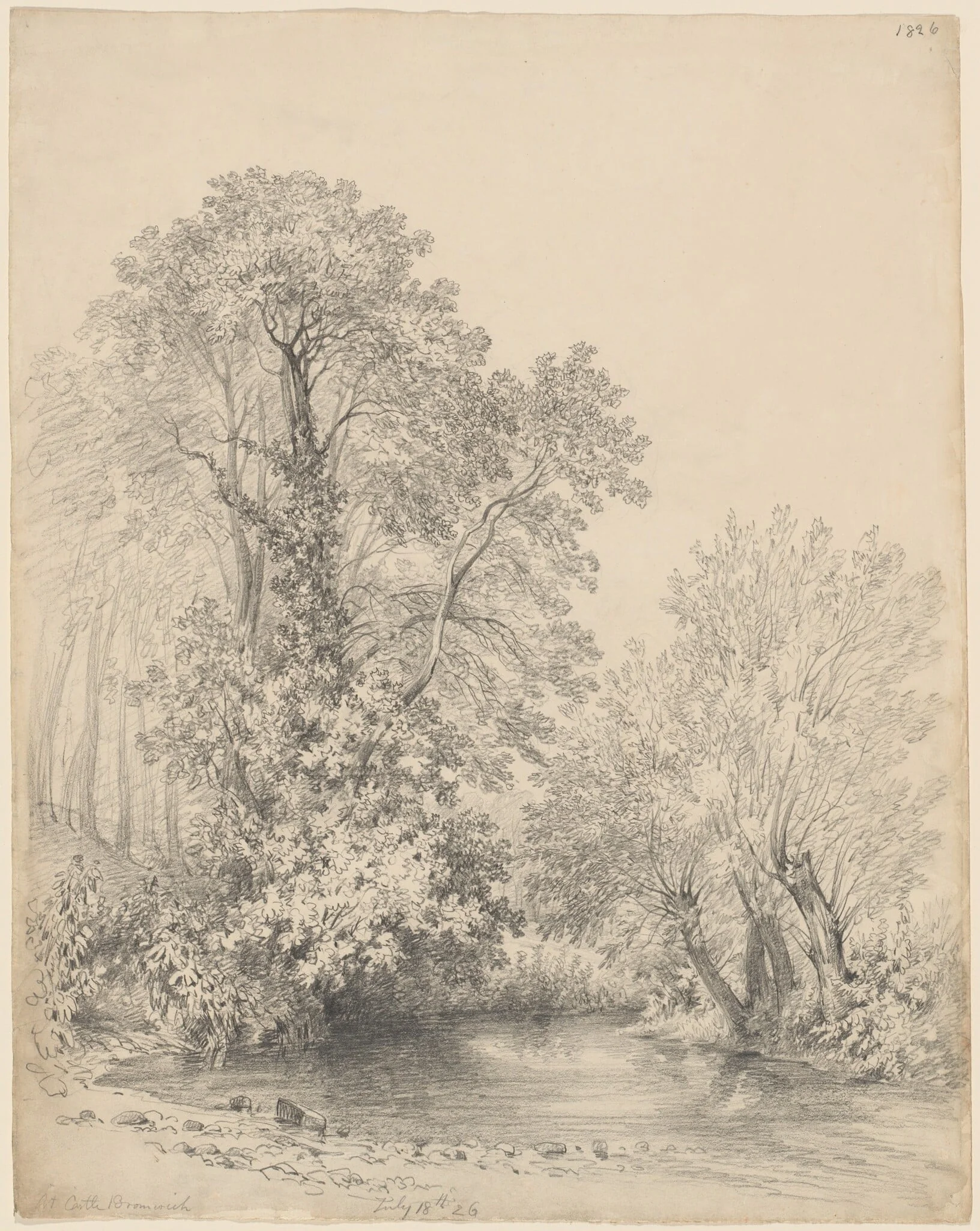 Trees by the River at Castle Bromwich, detail