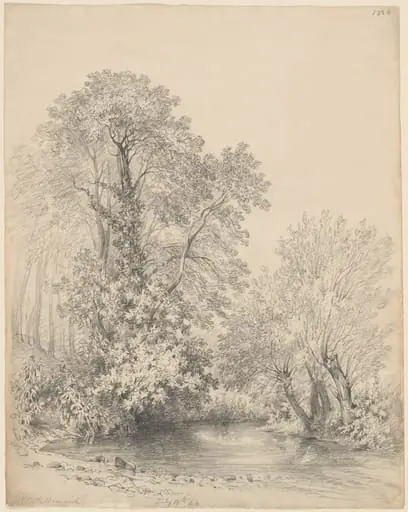 Trees by the River at Castle Bromwich, by Frederick William Watts, graphite, 1826