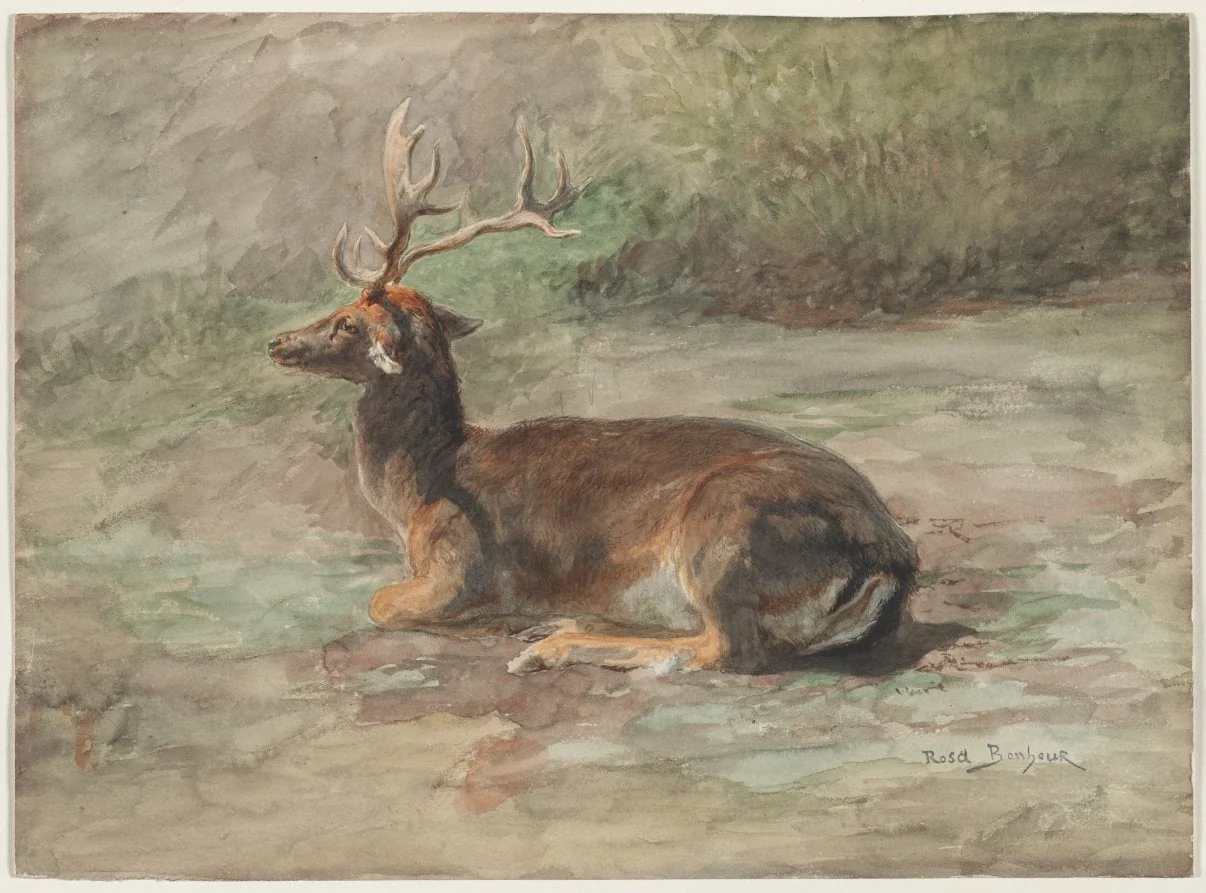 Stag Lying Down, detail