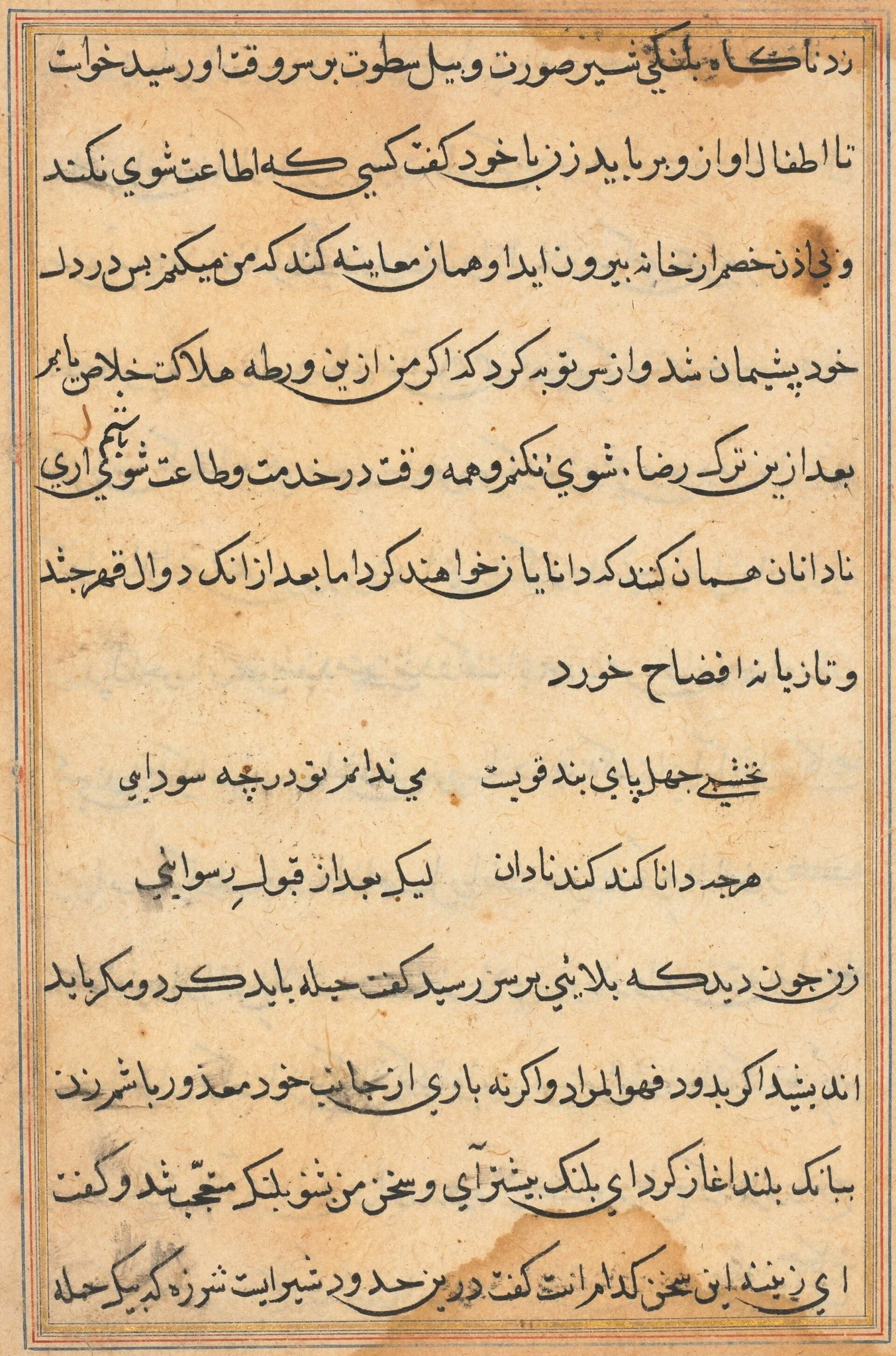 Page from Tales of a Parrot (Tuti-nama): text page, detail