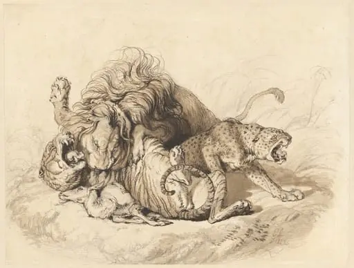 Contending Group after Nature [A Lion Fighting a Tiger and a Leopard], by Edwin, Sir Landseer, graphite, 1822