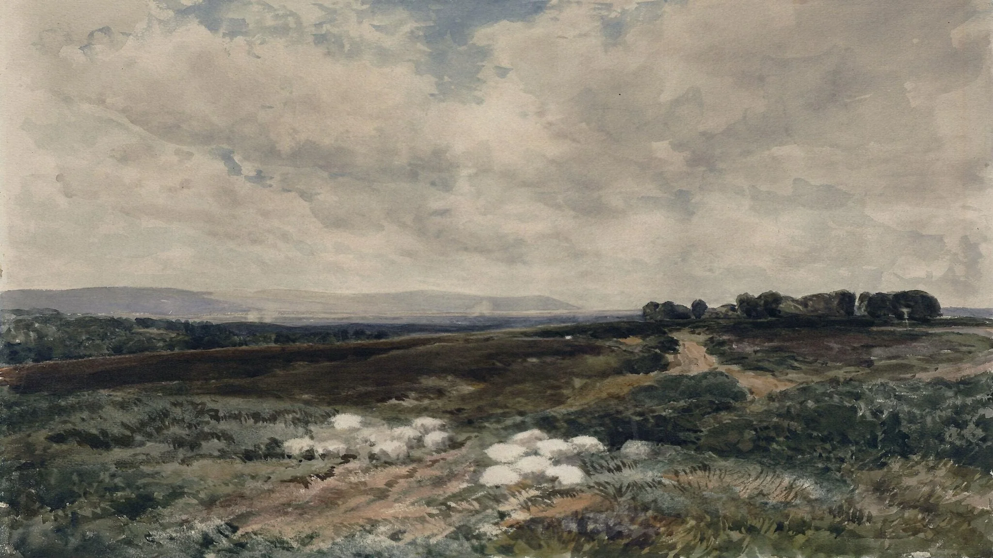Sheep on a Common, detail