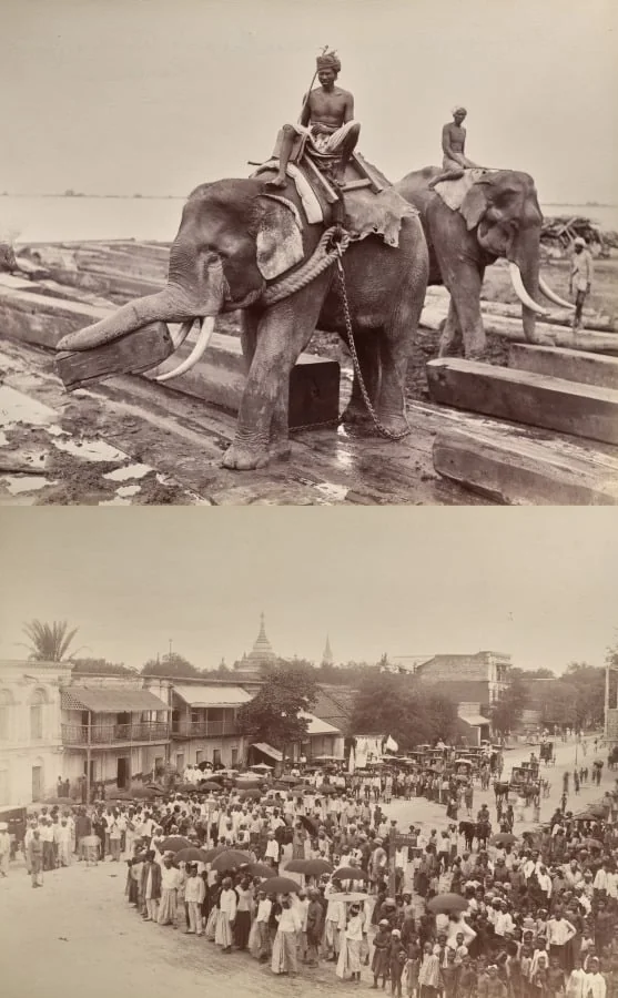 Untitled: (elephants moving blocks of wood, recto); (procession or crowd, verso), detail