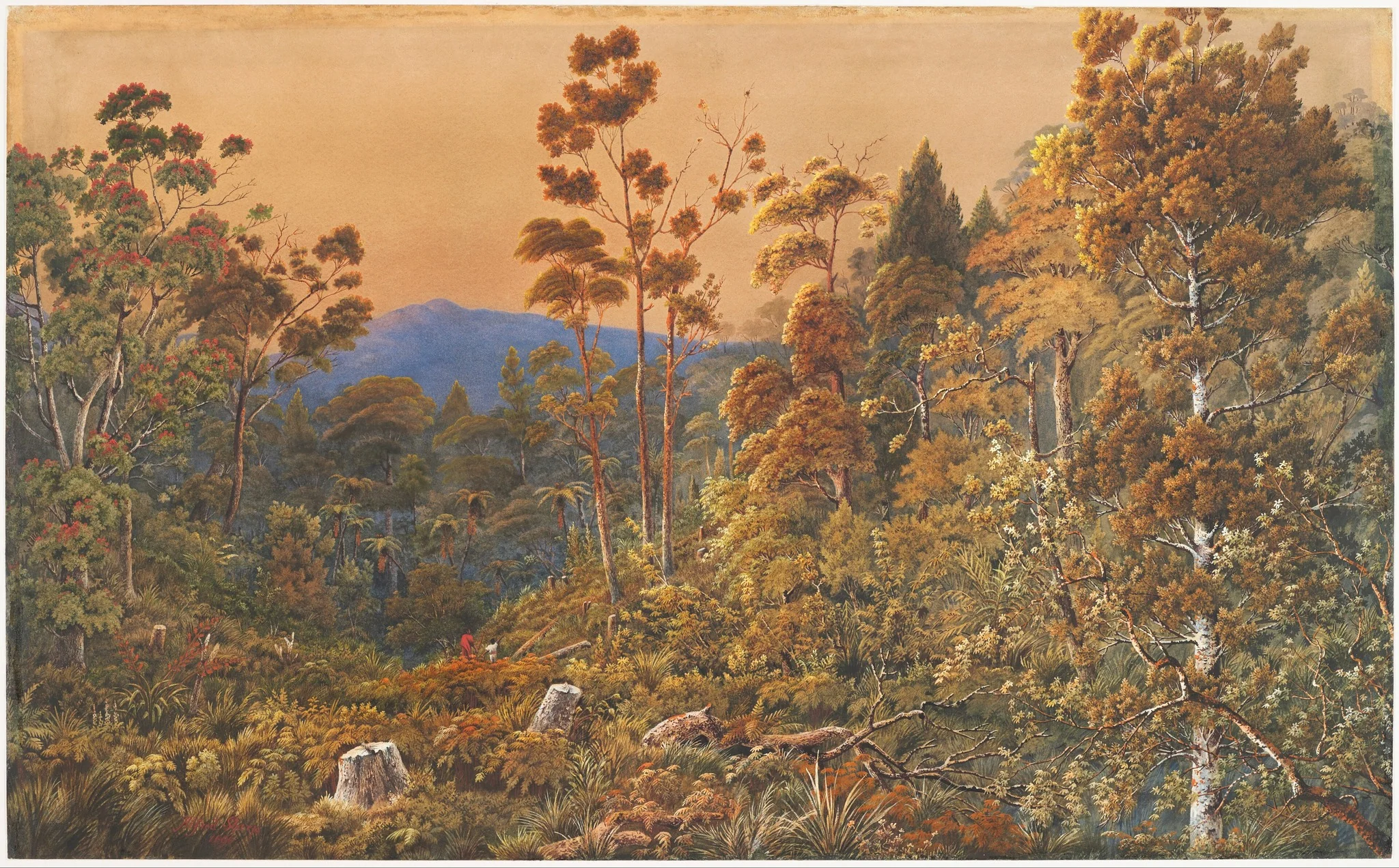 A golden eve, Waiheke Island, detail