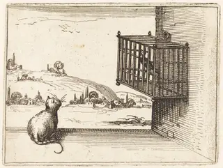 Cat Watching Caged Bird, by Jacques Callot, ink, 1628