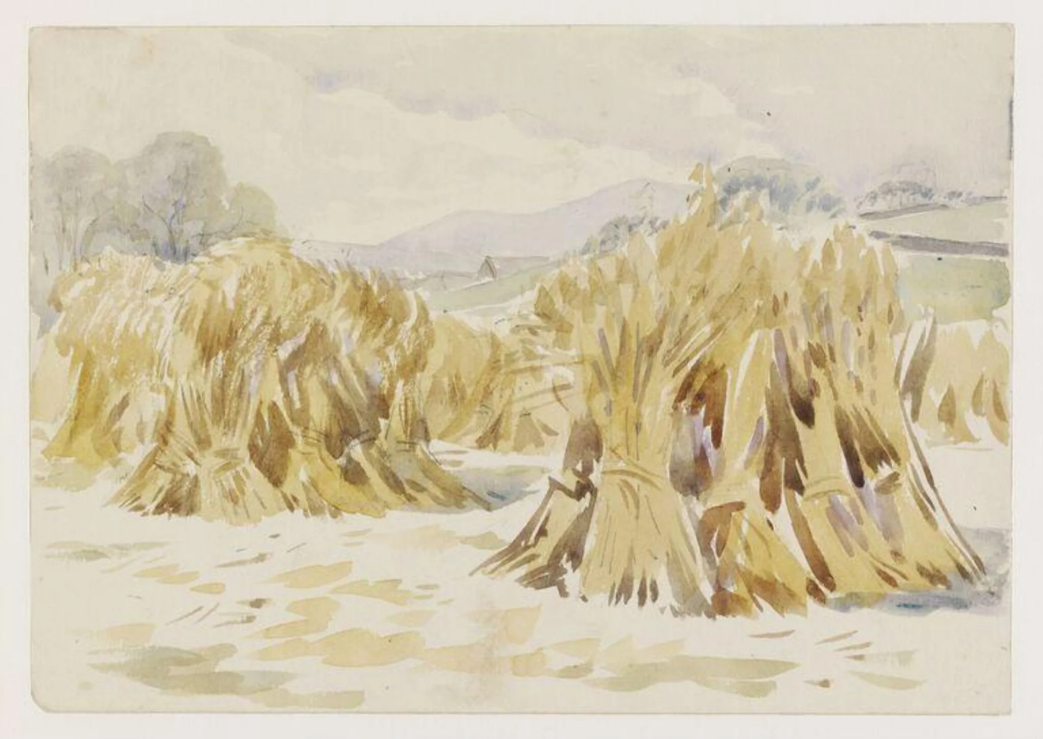 Sheaves of corn in a field, Sawrey, detail