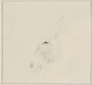 Head of a donkey, by Thomas Sidney Cooper, 1850