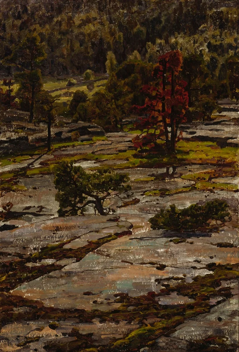 Knutsbodan vuorilta, detail