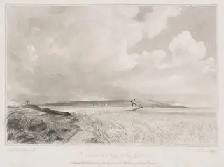 Cornfield near Brighton, by John Constable
