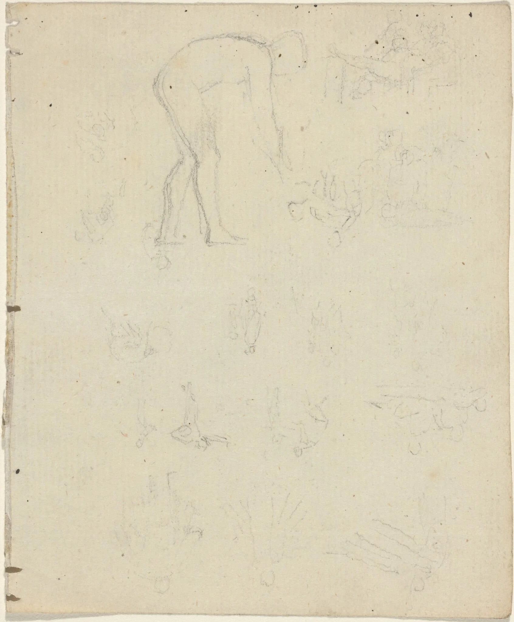 Sheet of Studies [recto and verso], detail