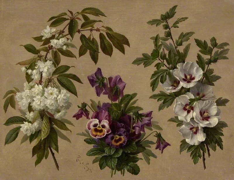 Three flower and shrub plants, detail